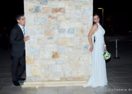 Φωτογράφηση γάμοι Αρτέμιδα